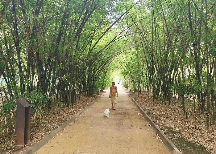 Apartment Home2book Amazing View Floor 25 Cruz Santa Cruz de Tenerife