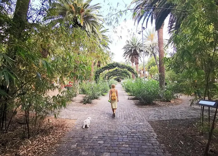 Home2book Amazing View Floor 25 Cruz